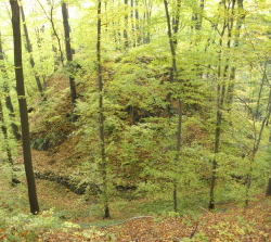 da oben stand der Burgturm