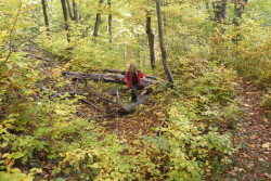 Achtung, das Gebiet ist total unzugänglich!