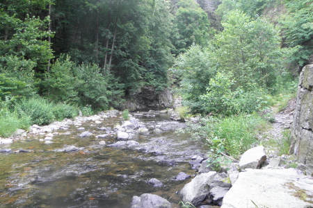 Müglitztal bei Wittig Schloß