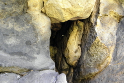 Höhle