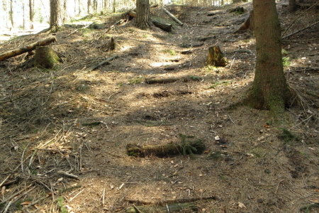 Pfad zum Bärenfang, kann sehr leicht übersehen werden